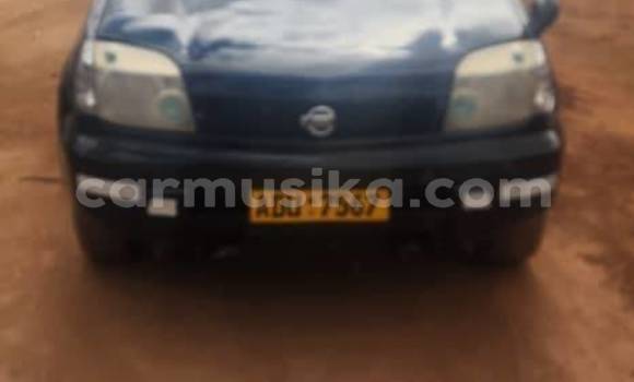 Nunua Ilio tumika Nissan X–Trail Nyeusi Gari ndani ya Belvedere nchini Harare Nunua Ilio tumika Nissan X–Trail Nyeusi Gari ndani ya Belvedere nchini Harare