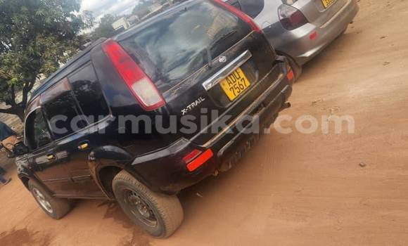 Nunua Ilio tumika Nissan X–Trail Nyeusi Gari ndani ya Belvedere nchini Harare Nunua Ilio tumika Nissan X–Trail Nyeusi Gari ndani ya Belvedere nchini Harare