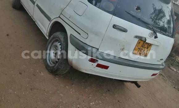 Nunua Ilio tumika Toyota Raum Nyeupe Gari ndani ya Bindura nchini Mashonaland Central Nunua Ilio tumika Toyota Raum Nyeupe Gari ndani ya Bindura nchini Mashonaland Central
