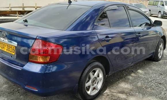 Nunua Ilio tumika Toyota Allion Bluu Gari ndani ya Borrowdale nchini Harare Nunua Ilio tumika Toyota Allion Bluu Gari ndani ya Borrowdale nchini Harare