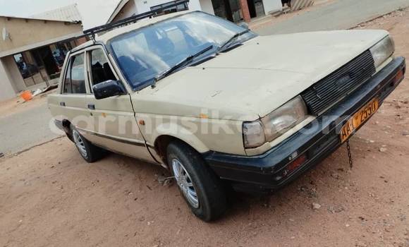 Buy Used Nissan Sunny Other Car in Belvedere in Harare