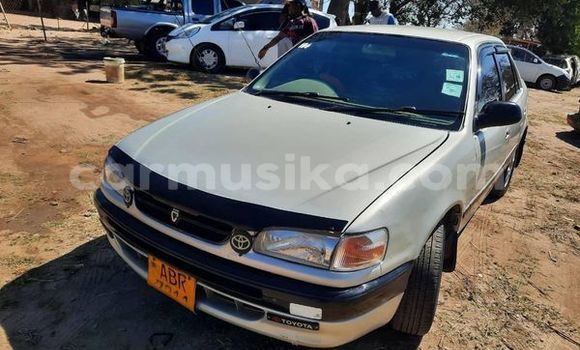 Nunua Ilio tumika Toyota Corolla Nyingine Gari ndani ya Harare nchini Harare