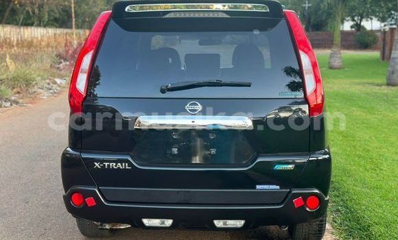 Buy Used Nissan X–Trail Other Car in Harare in Harare Buy Used Nissan X–Trail Other Car in Harare in Harare