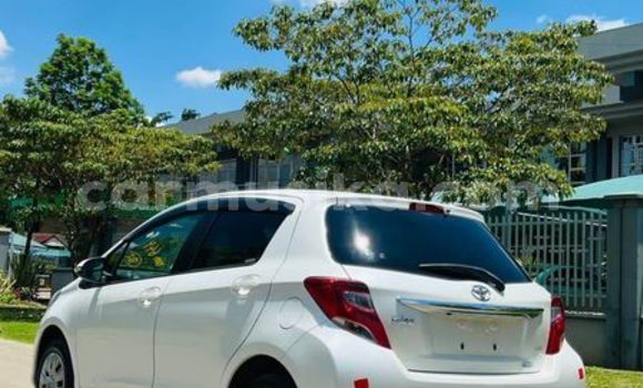 Buy Used Toyota Vitz Other Car in Harare in Harare Buy Used Toyota Vitz Other Car in Harare in Harare