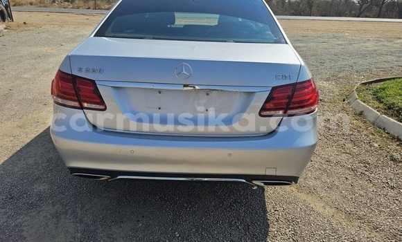 Tenga Tsaru Mercedes‒Benz E–Class Sirivha Mota in Kwekwe in Midlands Tenga Tsaru Mercedes‒Benz E–Class Sirivha Mota in Kwekwe in Midlands