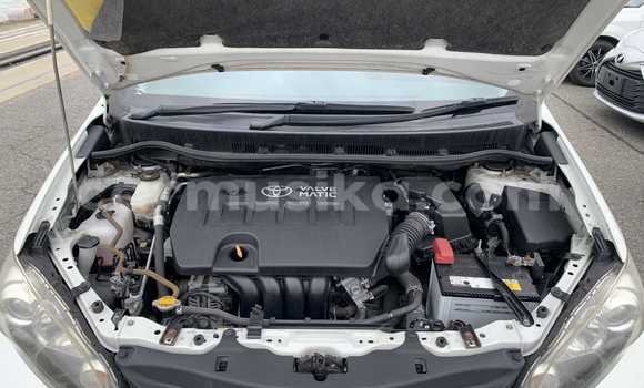 Buy Used Toyota Wish White Car in Beitbridge in Matabeleland South Buy Used Toyota Wish White Car in Beitbridge in Matabeleland South