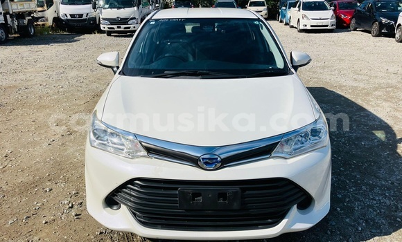 Buy Used Toyota Corolla White Car in Beitbridge in Matabeleland South