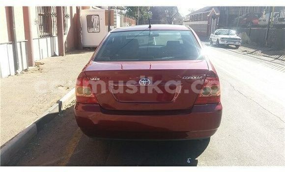 Nunua Ilio tumika Toyota Corolla Nyekundu Gari ndani ya Beitbridge nchini Matabeleland Kusini Nunua Ilio tumika Toyota Corolla Nyekundu Gari ndani ya Beitbridge nchini Matabeleland Kusini