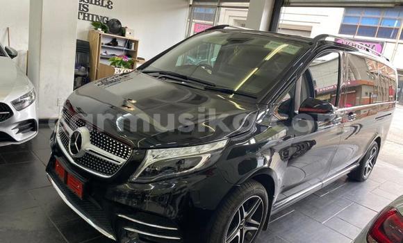 Buy Used Mercedes‒Benz V-klasse Other Car in Bulawayo in Bulawayo Buy Used Mercedes‒Benz V-klasse Other Car in Bulawayo in Bulawayo