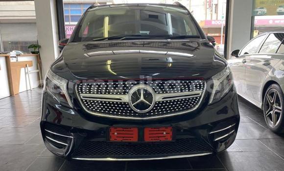 Buy Used Mercedes‒Benz V-klasse Other Car in Bulawayo in Bulawayo Buy Used Mercedes‒Benz V-klasse Other Car in Bulawayo in Bulawayo