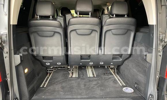 Buy Used Mercedes‒Benz V-klasse Other Car in Bulawayo in Bulawayo Buy Used Mercedes‒Benz V-klasse Other Car in Bulawayo in Bulawayo