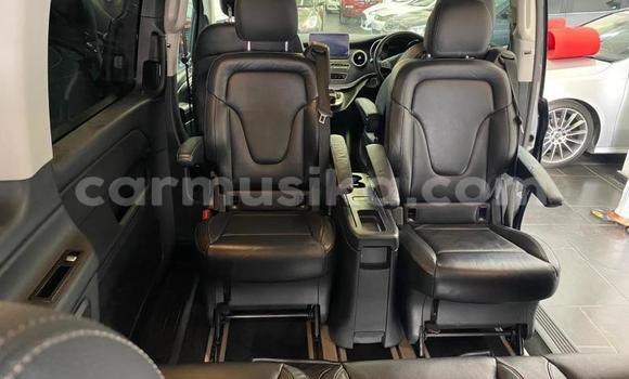 Buy Used Mercedes‒Benz V-klasse Other Car in Bulawayo in Bulawayo Buy Used Mercedes‒Benz V-klasse Other Car in Bulawayo in Bulawayo