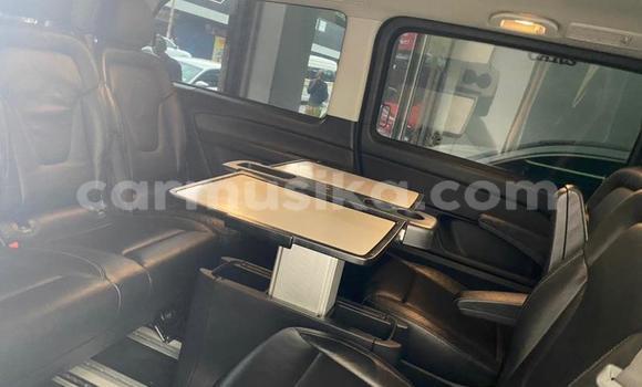 Buy Used Mercedes‒Benz V-klasse Other Car in Bulawayo in Bulawayo Buy Used Mercedes‒Benz V-klasse Other Car in Bulawayo in Bulawayo