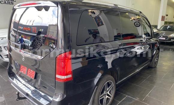 Buy Used Mercedes‒Benz V-klasse Other Car in Bulawayo in Bulawayo Buy Used Mercedes‒Benz V-klasse Other Car in Bulawayo in Bulawayo