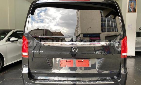 Buy Used Mercedes‒Benz V-klasse Other Car in Bulawayo in Bulawayo Buy Used Mercedes‒Benz V-klasse Other Car in Bulawayo in Bulawayo
