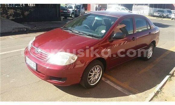 Nunua Ilio tumika Toyota Corolla Nyekundu Gari ndani ya Beitbridge nchini Matabeleland Kusini Nunua Ilio tumika Toyota Corolla Nyekundu Gari ndani ya Beitbridge nchini Matabeleland Kusini
