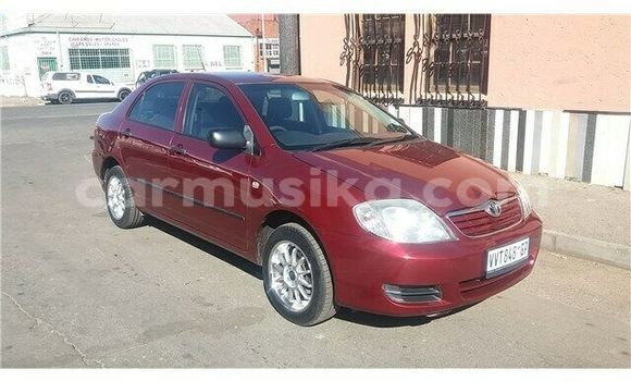 Nunua Ilio tumika Toyota Corolla Nyekundu Gari ndani ya Beitbridge nchini Matabeleland Kusini Nunua Ilio tumika Toyota Corolla Nyekundu Gari ndani ya Beitbridge nchini Matabeleland Kusini