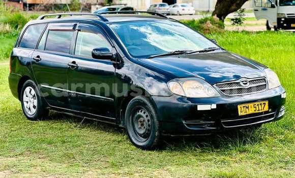 Tenga Tsaru Toyota Corolla Zvimwe Mota in Harare in Harare Tenga Tsaru Toyota Corolla Zvimwe Mota in Harare in Harare