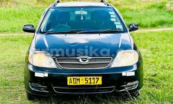 Tenga Tsaru Toyota Corolla Zvimwe Mota in Harare in Harare Tenga Tsaru Toyota Corolla Zvimwe Mota in Harare in Harare