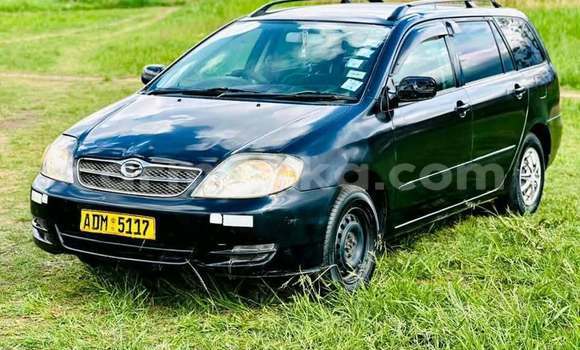 Tenga Tsaru Toyota Corolla Zvimwe Mota in Harare in Harare Tenga Tsaru Toyota Corolla Zvimwe Mota in Harare in Harare