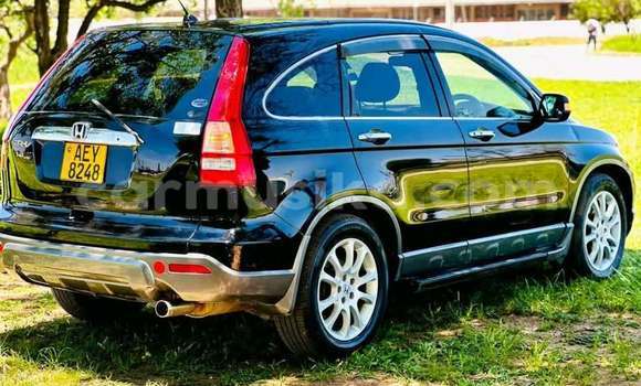 Tenga Tsaru Honda CR-X Zvimwe Mota in Harare in Harare Tenga Tsaru Honda CR-X Zvimwe Mota in Harare in Harare