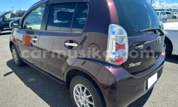 Tenga Tsaru Toyota Passo Zvimwe Mota in Beitbridge in Matabeleland South Tenga Tsaru Toyota Passo Zvimwe Mota in Beitbridge in Matabeleland South