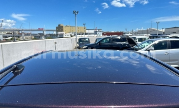 Tenga Tsaru Toyota Passo Zvimwe Mota in Beitbridge in Matabeleland South Tenga Tsaru Toyota Passo Zvimwe Mota in Beitbridge in Matabeleland South