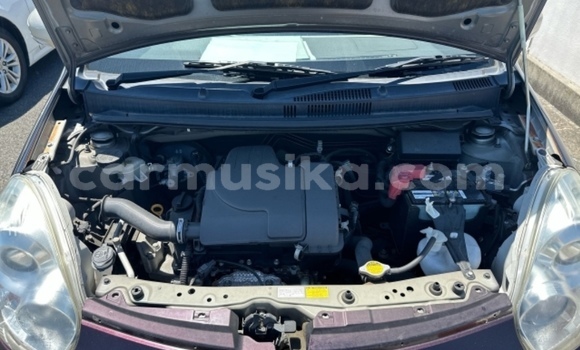 Tenga Tsaru Toyota Passo Zvimwe Mota in Beitbridge in Matabeleland South Tenga Tsaru Toyota Passo Zvimwe Mota in Beitbridge in Matabeleland South