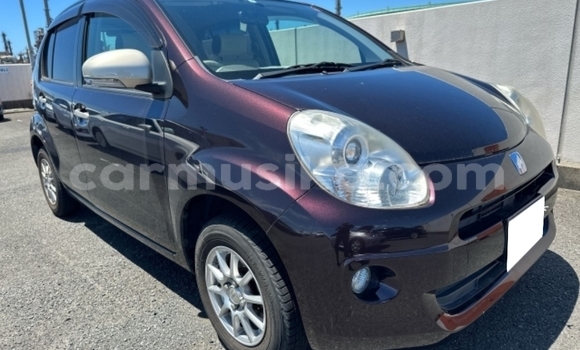 Tenga Tsaru Toyota Passo Zvimwe Mota in Beitbridge in Matabeleland South Tenga Tsaru Toyota Passo Zvimwe Mota in Beitbridge in Matabeleland South