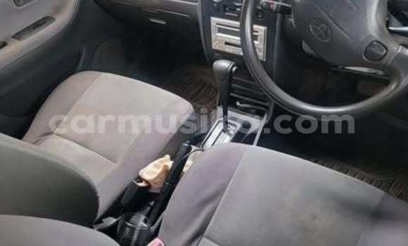 Buy Used Toyota Duet Other Car in Harare in Harare