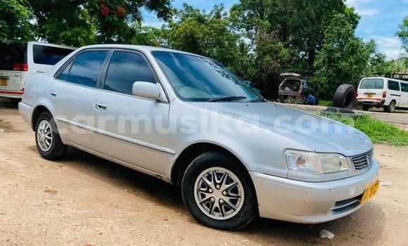Tenga Tsaru Toyota Corolla Zvimwe Mota in Harare in Harare Tenga Tsaru Toyota Corolla Zvimwe Mota in Harare in Harare