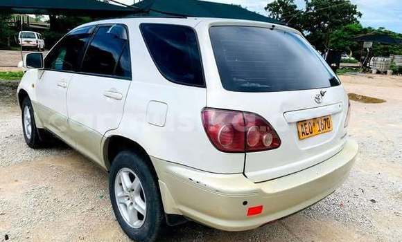Tenga Tsaru Toyota Harrier Zvimwe Mota in Harare in Harare Tenga Tsaru Toyota Harrier Zvimwe Mota in Harare in Harare