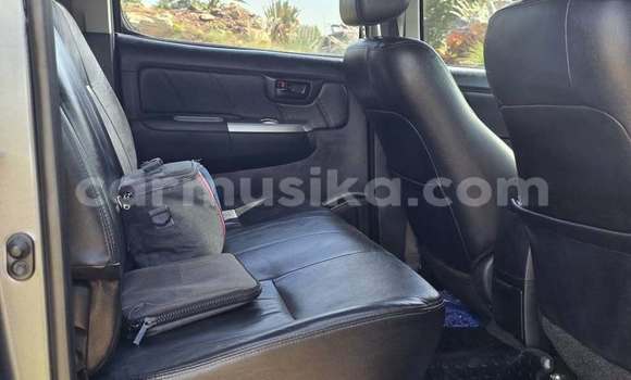 Buy Used Toyota Hilux Blue Car in Chegutu in Mashonaland West Buy Used Toyota Hilux Blue Car in Chegutu in Mashonaland West