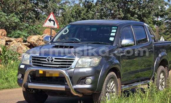 Buy Used Toyota Hilux Blue Car in Chegutu in Mashonaland West Buy Used Toyota Hilux Blue Car in Chegutu in Mashonaland West