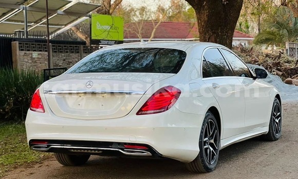 Buy Used Mercedes‒Benz S–Class White Car in Borrowdale in Harare Buy Used Mercedes‒Benz S–Class White Car in Borrowdale in Harare