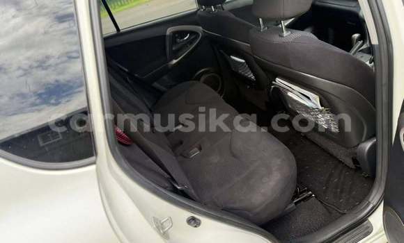 Tenga Tsaru Toyota RAV4 Chena Mota in Borrowdale in Harare Tenga Tsaru Toyota RAV4 Chena Mota in Borrowdale in Harare