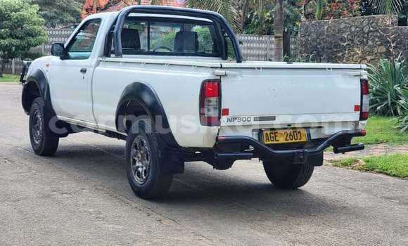 Tenga Tsaru Nissan NP 300 Chena Mota in Borrowdale in Harare Tenga Tsaru Nissan NP 300 Chena Mota in Borrowdale in Harare
