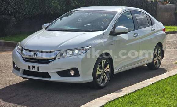 Tenga Tsaru Honda Grace Chena Mota in Borrowdale in Harare