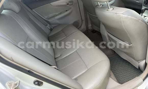 Tenga Tsaru Toyota Corolla Zvimwe Mota in Bindura in Mashonaland yePakati Tenga Tsaru Toyota Corolla Zvimwe Mota in Bindura in Mashonaland yePakati