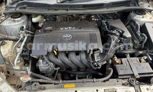 Tenga Tsaru Toyota Corolla Zvimwe Mota in Bindura in Mashonaland yePakati Tenga Tsaru Toyota Corolla Zvimwe Mota in Bindura in Mashonaland yePakati