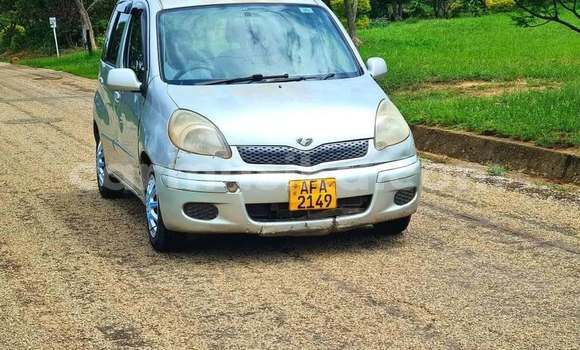Tenga Tsaru Toyota FunCargo Zvimwe Mota in Borrowdale in Harare
