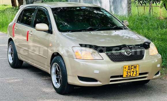 Acheter Occasion Voiture Toyota Runx Autre à Bindura, Mashonaland Central Acheter Occasion Voiture Toyota Runx Autre à Bindura, Mashonaland Central