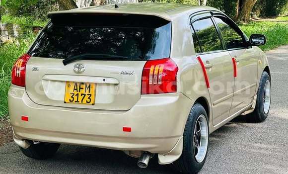 Acheter Occasion Voiture Toyota Runx Autre à Bindura, Mashonaland Central Acheter Occasion Voiture Toyota Runx Autre à Bindura, Mashonaland Central