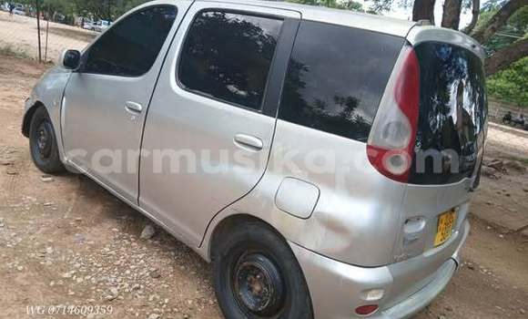Buy Used Toyota Matrix Other Car in Harare in Harare Buy Used Toyota Matrix Other Car in Harare in Harare