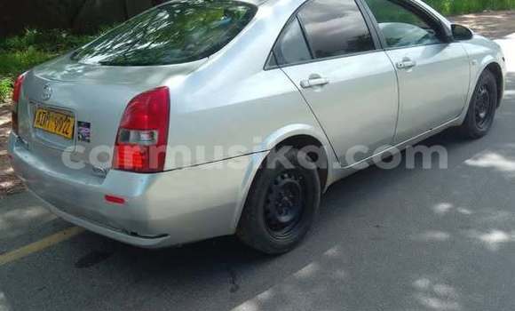 Buy Used Nissan Primera Other Car in Harare in Harare Buy Used Nissan Primera Other Car in Harare in Harare