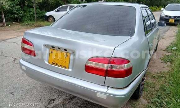 Buy Used Toyota Corolla Other Car in Harare in Harare Buy Used Toyota Corolla Other Car in Harare in Harare