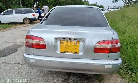 Buy Used Toyota Corolla Other Car in Harare in Harare Buy Used Toyota Corolla Other Car in Harare in Harare