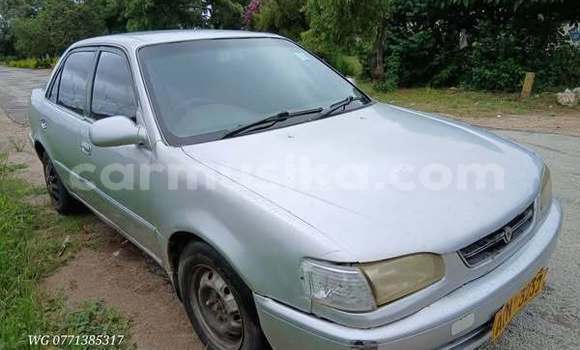 Buy Used Toyota Corolla Other Car in Harare in Harare Buy Used Toyota Corolla Other Car in Harare in Harare