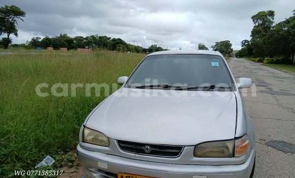 Buy Used Toyota Corolla Other Car in Harare in Harare Buy Used Toyota Corolla Other Car in Harare in Harare