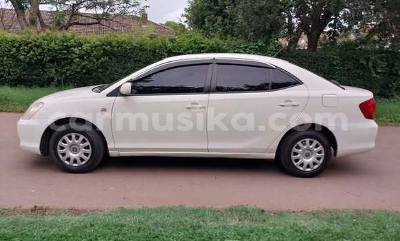 Acheter Occasion Voiture Toyota Allion Blanc à Harare, Harare Acheter Occasion Voiture Toyota Allion Blanc à Harare, Harare